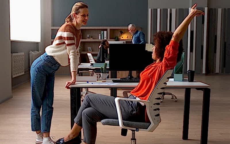 Ergonomik Ofis Sandalyeleri